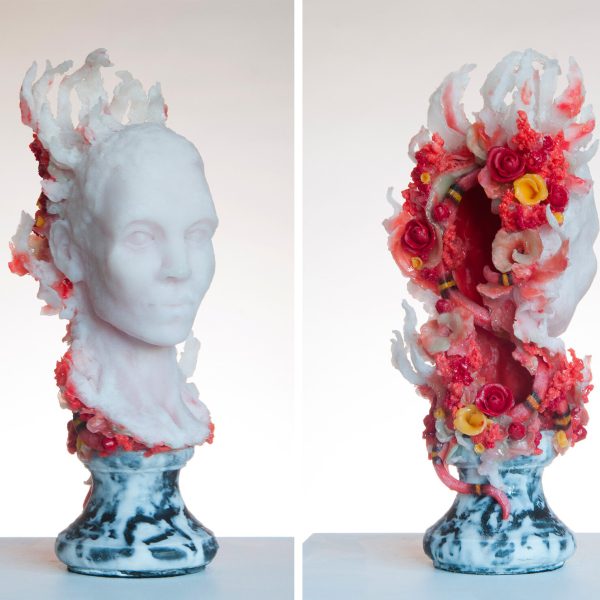 Whimsical Wildflowers